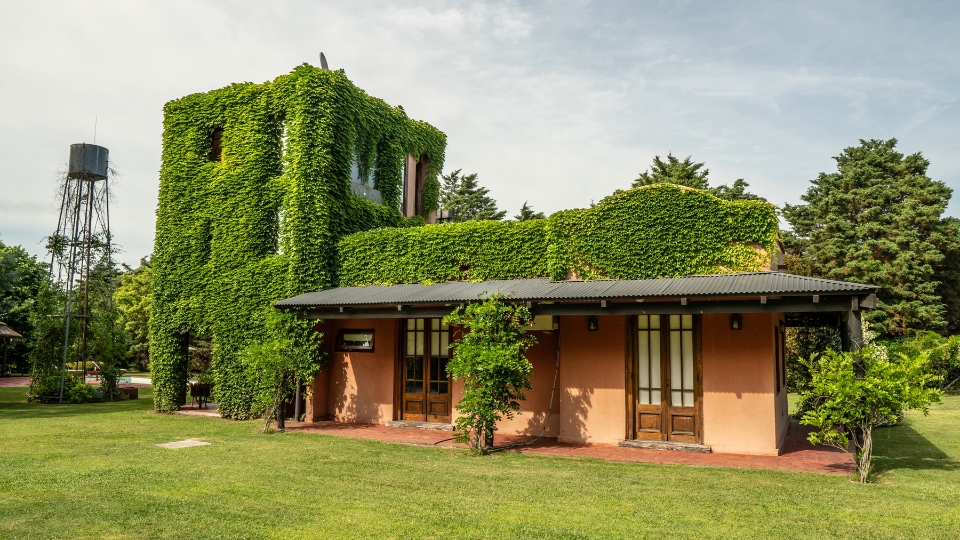 Ошибка №9 при строительстве дачи: экономия на освещении и розетках — и дача превращается в тёмный квест